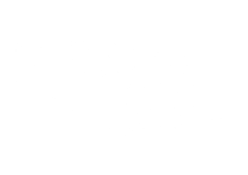 Little Kite Co